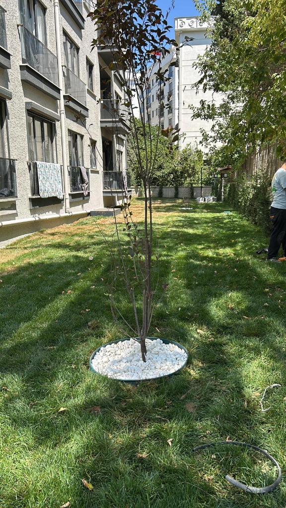 TUZLA YAYLA MAHALLESİ APARTMAN PROJESİ